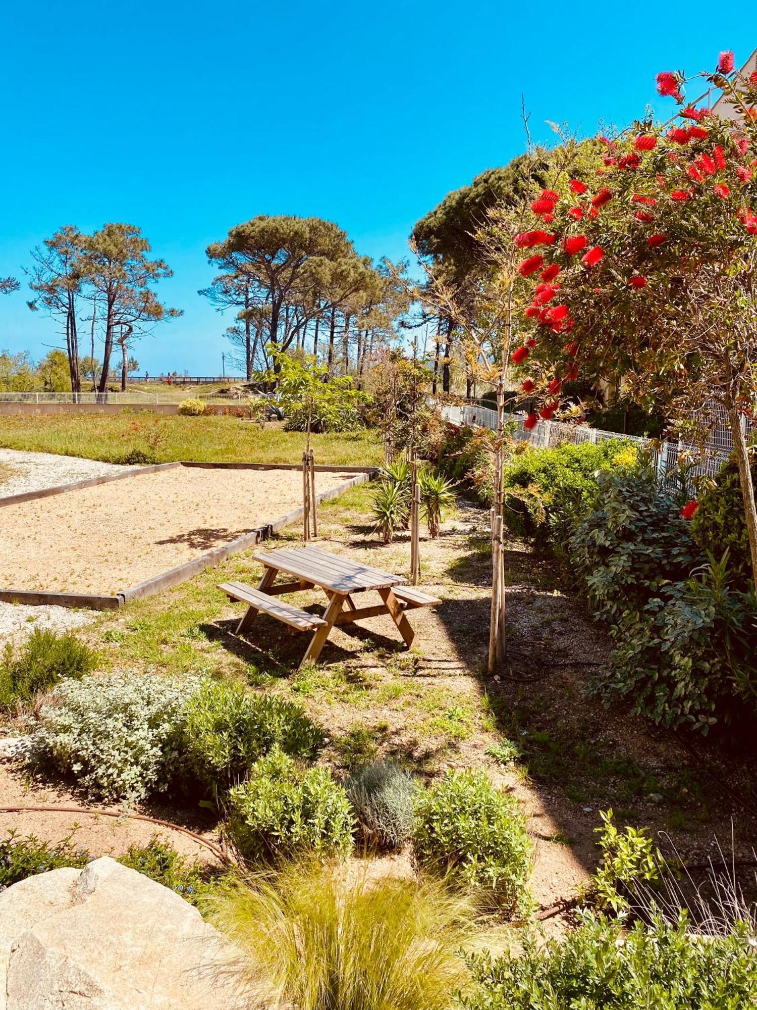 Calvi Hotel Екстер'єр фото